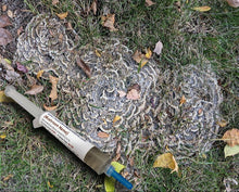 Load image into Gallery viewer, Turkey Tail (Trametes versicolor) Liquid Culture
